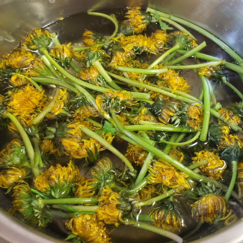 タンポポの花を三杯酢で食べたら美味しかった！｜野草・雑草を食べるブログ